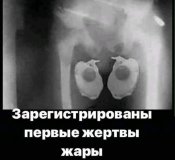 изображение_viber_2020-06-13_17-55-171.jpg