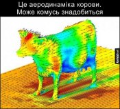 изображение_viber_2020-06-14_17-11-36.jpg