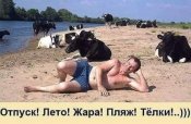 изображение_viber_2020-06-15_08-53-10.jpg
