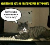 изображение_viber_2020-06-13_07-50-30.jpg
