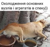 изображение_viber_2020-06-13_13-45-13.jpg