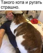 изображение_viber_2020-06-13_22-38-38.jpg