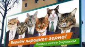 изображение_viber_2020-06-15_10-00-36.jpg