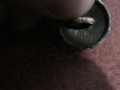 DSC01711.JPG