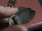 DSC01720.JPG