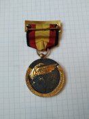 Медаль Кондор