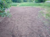 IMG_20200617_194626.jpg