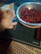 IMG_20200618_014516.jpg