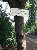 20200617_103710.jpg