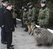 меняпрет.jpg