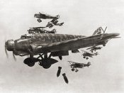 sm81_sm.jpg