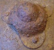 post-106-1256802417_thumb.jpg