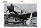 Fw190A-4U3_BN113.jpg