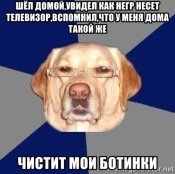 -.jpg