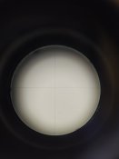 IMG_20200620_183804.jpg