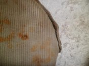 SAM_1390.jpg