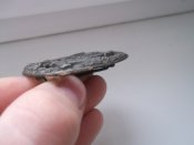 DSCF3154.jpg