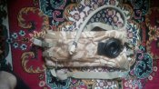 Гидратор (питьевая система) Camelbak Individual Hydration System DDPM, оригинал.