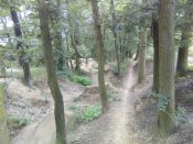 IMG_20200613_151912.jpg