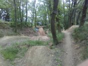 IMG_20200613_151852.jpg