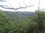 IMG_20200613_171601.jpg