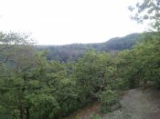IMG_20200613_171321.jpg