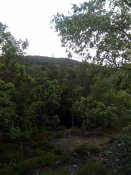 IMG_20200613_164105.jpg