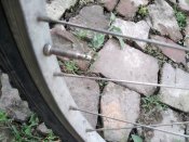 IMG_20200617_163611.jpg