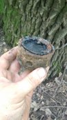 IMG_20200621_154941.jpg
