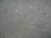 DSC02034.JPG