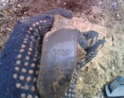 IMG1833A.jpg
