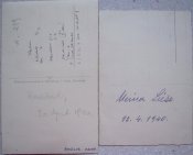 weiblicher2.jpg