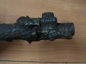 DSC01788.JPG