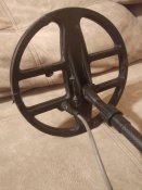 IMG_20200625_104520.jpg