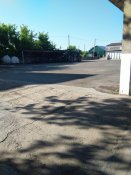 IMG_20200626_175037.jpg