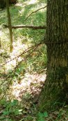 PHOTO_20200626_100940.jpg