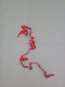 Lenovo_A1000_IMG_20200626_181447.jpg