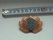 DSC00534.JPG