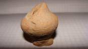 DSC01706.jpg