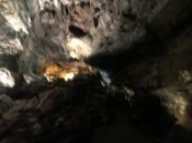 8BBA890B-C234-45C0-BB69-672179B87F11.jpeg