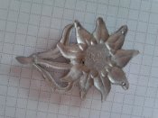 2013-02-16 15.56.09.jpg