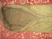 IMG_2585.jpg