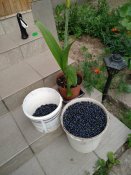IMG_20200628_200739.jpg