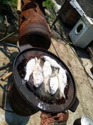 IMG_20200628_122022.jpg
