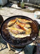 IMG_20200628_122806.jpg