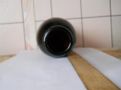 DSCN2381.jpg