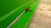 IMG_20200620_164103.jpg