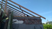 IMG_20200624_075831.jpg