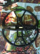 IMG_20200703_180644.jpg