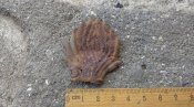 IMAG0578.jpg